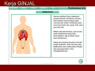 Kerja GINJALKerja GINJAL
 