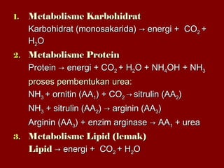 1.1. Metabolisme KarbohidratMetabolisme Karbohidrat
Karbohidrat (monosakarida)Karbohidrat (monosakarida) →→ energi + COenergi + CO22 ++
HH22OO
2.2. Metabolisme ProteinMetabolisme Protein
ProteinProtein →→ energi + COenergi + CO22 + H+ H22O + NHO + NH44OH + NHOH + NH33
proses pembentukan urea:proses pembentukan urea:
NHNH33 + ornitin (AA+ ornitin (AA11) + CO) + CO22 →→ sitrulin (AAsitrulin (AA22))
NHNH33 + sitrulin (AA+ sitrulin (AA22)) →→ arginin (AAarginin (AA33))
Arginin (AAArginin (AA33) + enzim arginase) + enzim arginase →→ AAAA11 + urea+ urea
3.3. Metabolisme Lipid (lemak)Metabolisme Lipid (lemak)
LipidLipid →→ energi + COenergi + CO22 + H+ H22OO
 