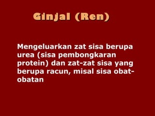 Ginjal (Ren)Ginjal (Ren)
Mengeluarkan zat sisa berupa
urea (sisa pembongkaran
protein) dan zat-zat sisa yang
berupa racun, misal sisa obat-
obatan
 