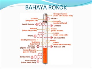 BAHAYA ROKOK
 