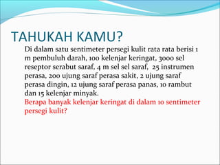 TAHUKAH KAMU?
Di dalam satu sentimeter persegi kulit rata rata berisi 1
m pembuluh darah, 100 kelenjar keringat, 3000 sel
reseptor serabut saraf, 4 m sel sel saraf, 25 instrumen
perasa, 200 ujung saraf perasa sakit, 2 ujung saraf
perasa dingin, 12 ujung saraf perasa panas, 10 rambut
dan 15 kelenjar minyak.
Berapa banyak kelenjar keringat di dalam 10 sentimeter
persegi kulit?
 