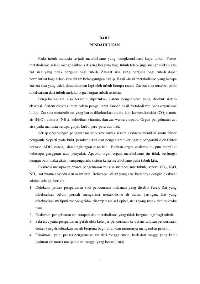 Sistem Ekskresi Pada Manusia