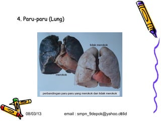 4. Paru-paru (Lung)




   08/03/13       email : smpn_9depok@yahoo.co.id
                                             11
 