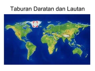 Taburan Daratan dan Lautan 