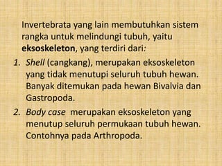 Invertebrata yang lain membutuhkan sistem
rangka untuk melindungi tubuh, yaitu
eksoskeleton, yang terdiri dari:
1. Shell (cangkang), merupakan eksoskeleton
yang tidak menutupi seluruh tubuh hewan.
Banyak ditemukan pada hewan Bivalvia dan
Gastropoda.
2. Body case merupakan eksoskeleton yang
menutup seluruh permukaan tubuh hewan.
Contohnya pada Arthropoda.
 