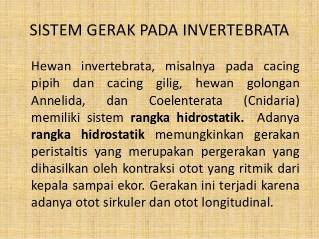 Sistem gerak  pada  hewan 