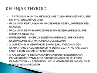  1. THYROKSIN  UNTUK METABOLISME TUBUH BAIK META-BOLISME
KH, PROTEIN MAUPUN LIPID
 PADA MASA PERTUMBUHAN HIPOSEKRESI: KERDIL, HIPERSEKRESI:
RAKSASA
 PADA MASA DEWASA HIPOSEKRESI: MIKSEDEMA (METABOLISME
LAMBAT OBESITAS
 HIPERSEKRESI : MORBUS BASEDOWI (METABOLISME CEPAT
EKSOPTALMUS (BIJI MATA MENONJOL KELUAR)
 2. LIOTIRONIN  MERUPAKAN BAHAN BAKU THIROKSIN DGN
SYARAT HARUS ADA ION IODIUM  DEKAT LAUT ATAU HASIL DARI
LAUT  IKAN, GARAM YG BERIODIUM
 3. KALSITONIN  MERUPAKAN BAHAN BAKU PEMBENTUKKAN
PARATHORMON YANG JUGA DISEKRESIKAN OLEH KELENJAR
PARATHYROID -- > BERFUNGSI UNTUK MENGATUR KADAR CALCIUM
(ION Ca2+) DALAM DARAH
 