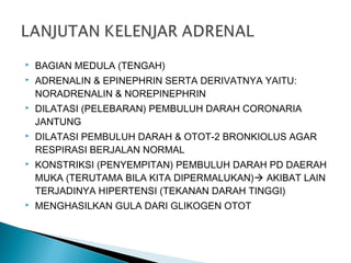  BAGIAN MEDULA (TENGAH)
 ADRENALIN & EPINEPHRIN SERTA DERIVATNYA YAITU:
NORADRENALIN & NOREPINEPHRIN
 DILATASI (PELEBARAN) PEMBULUH DARAH CORONARIA
JANTUNG
 DILATASI PEMBULUH DARAH & OTOT-2 BRONKIOLUS AGAR
RESPIRASI BERJALAN NORMAL
 KONSTRIKSI (PENYEMPITAN) PEMBULUH DARAH PD DAERAH
MUKA (TERUTAMA BILA KITA DIPERMALUKAN) AKIBAT LAIN
TERJADINYA HIPERTENSI (TEKANAN DARAH TINGGI)
 MENGHASILKAN GULA DARI GLIKOGEN OTOT
 