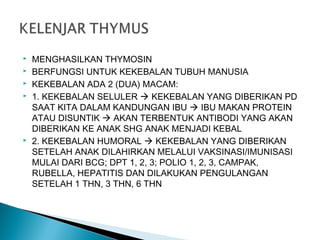  MENGHASILKAN THYMOSIN
 BERFUNGSI UNTUK KEKEBALAN TUBUH MANUSIA
 KEKEBALAN ADA 2 (DUA) MACAM:
 1. KEKEBALAN SELULER  KEKEBALAN YANG DIBERIKAN PD
SAAT KITA DALAM KANDUNGAN IBU  IBU MAKAN PROTEIN
ATAU DISUNTIK  AKAN TERBENTUK ANTIBODI YANG AKAN
DIBERIKAN KE ANAK SHG ANAK MENJADI KEBAL
 2. KEKEBALAN HUMORAL  KEKEBALAN YANG DIBERIKAN
SETELAH ANAK DILAHIRKAN MELALUI VAKSINASI/IMUNISASI
MULAI DARI BCG; DPT 1, 2, 3; POLIO 1, 2, 3, CAMPAK,
RUBELLA, HEPATITIS DAN DILAKUKAN PENGULANGAN
SETELAH 1 THN, 3 THN, 6 THN
 