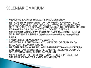  MENGHASILKAN ESTROGEN & PROGESTERON
 ESTROGEN  BERFUNGSI UNTUK MEMATANGKAN TELUR
DALAM FOLIKEL-2 TELUR (FOLIKEL AWAL, PRIMER, SEKUN-
DER, TERSIER, DE GRAAF), MENEBALKAN DINDING RAHIM UTK
PERSIAPAN BILA OVUM KETEMU DG SEL SPERMA
 MENGEMBANGKAN PAYUDARA SECARA MAKSIMAL, MULAI
DARI PUTING & AEROLA (bgn berwarna coklat yg mengelilingi
puting)
 TANDA SEKS SEKUNDER PD WANITA
 MENSTIMULI PERTEMUAN OVUM DG SEL SPERMA PADA
SALURAN TELUR (OVIDUCT)
 PROGESTERON  BERFUNGSI MEMPERTAHANKAN KETEBA-
LAN DDG RAHIM SHG BILA TERJADI PERTEMUAN OVUM DG
SEL SPERMA AKAN DI IMPLANTASIKAN
 MENGHAMBAT PERTEMUAN OVUM DG SEL SPERMA BILA
MELEBIHI KAPASITAS YANG SEHARUSNYA
 