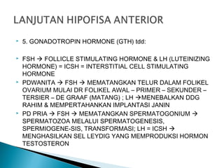  5. GONADOTROPIN HORMONE (GTH) tdd:
 FSH  FOLLICLE STIMULATING HORMONE & LH (LUTEINIZING
HORMONE) = ICSH = INTERSTITIAL CELL STIMULATING
HORMONE
 PDWANITA  FSH  MEMATANGKAN TELUR DALAM FOLIKEL
OVARIUM MULAI DR FOLIKEL AWAL – PRIMER – SEKUNDER –
TERSIER – DE GRAAF (MATANG) ; LH MENEBALKAN DDG
RAHIM & MEMPERTAHANKAN IMPLANTASI JANIN
 PD PRIA  FSH  MEMATANGKAN SPERMATOGONIUM 
SPERMATOZOA MELALUI SPERMATOGENESIS,
SPERMIOGENE-SIS, TRANSFORMASI; LH = ICSH 
MENGHASILKAN SEL LEYDIG YANG MEMPRODUKSI HORMON
TESTOSTERON
 