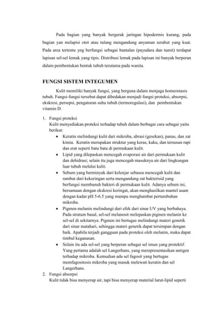 Pada bagian yang banyak bergerak jaringan hipodermis kurang, pada
bagian yan melapisi otot atau tulang mengandung anyaman serabut yang kuat.
Pada area tertentu yng berfungsi sebagai bantalan (payudara dan tumit) terdapat
lapisan sel-sel lemak yang tipis. Distribusi lemak pada lapisan ini banyak berperan
dalam pembentukan bentuk tubuh terutama pada wanita.


FUNGSI SISTEM INTEGUMEN
       Kulit memiliki banyak fungsi, yang berguna dalam menjaga homeostasis
tubuh. Fungsi-fungsi tersebut dapat dibedakan menjadi fungsi proteksi, absorpsi,
ekskresi, persepsi, pengaturan suhu tubuh (termoregulasi), dan pembentukan
vitamin D.

1. Fungsi proteksi
   Kulit menyediakan proteksi terhadap tubuh dalam berbagai cara sebagai yaitu
   berikut:
           Keratin melindungi kulit dari mikroba, abrasi (gesekan), panas, dan zat
           kimia. Keratin merupakan struktur yang keras, kaku, dan tersusun rapi
           dan erat seperti batu bata di permukaan kulit.
           Lipid yang dilepaskan mencegah evaporasi air dari permukaan kulit
           dan dehidrasi; selain itu juga mencegah masuknya air dari lingkungan
           luar tubuh melalui kulit.
           Sebum yang berminyak dari kelenjar sebasea mencegah kulit dan
           rambut dari kekeringan serta mengandung zat bakterisid yang
           berfungsi membunuh bakteri di permukaan kulit. Adanya sebum ini,
           bersamaan dengan ekskresi keringat, akan menghasilkan mantel asam
           dengan kadar pH 5-6.5 yang mampu menghambat pertumbuhan
           mikroba.
           Pigmen melanin melindungi dari efek dari sinar UV yang berbahaya.
           Pada stratum basal, sel-sel melanosit melepaskan pigmen melanin ke
           sel-sel di sekitarnya. Pigmen ini bertugas melindungi materi genetik
           dari sinar matahari, sehingga materi genetik dapat tersimpan dengan
           baik. Apabila terjadi gangguan pada proteksi oleh melanin, maka dapat
           timbul keganasan.
           Selain itu ada sel-sel yang berperan sebagai sel imun yang protektif.
           Yang pertama adalah sel Langerhans, yang merepresentasikan antigen
           terhadap mikroba. Kemudian ada sel fagosit yang bertugas
           memfagositosis mikroba yang masuk melewati keratin dan sel
           Langerhans.
2. Fungsi absorpsi
   Kulit tidak bisa menyerap air, tapi bisa menyerap material larut-lipid seperti
 