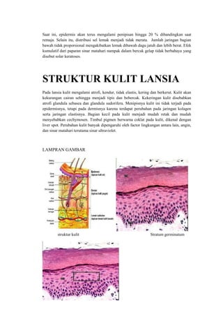 Saat ini, epidermis akan terus mengalami penipisan hingga 20 % dibandingkan saat
remaja. Selain itu, distribusi sel lemak menjadi tidak merata. Jumlah jaringan bagian
bawah tidak proporsional mengakibatkan lemak dibawah dagu jatuh dan lebih berat. Efek
kumulatif dari paparan sinar matahari nampak dalam bercak gelap tidak berbahaya yang
disebut solar keratoses.




STRUKTUR KULIT LANSIA
Pada lansia kulit mengalami atrofi, kendur, tidak elastis, kering dan berkerut. Kulit akan
kekurangan cairan sehingga menjadi tipis dan bebercak. Kekeringan kulit disebabkan
atrofi glandula sebasea dan glandula sudorifera. Menipisnya kulit ini tidak terjadi pada
epidermisnya, tetapi pada dermisnya karena terdapat perubahan pada jaringan kolagen
serta jaringan elastisnya. Bagian kecil pada kulit menjadi mudah retak dan mudah
menyebabkan cechymosen. Timbul pigmen berwarna coklat pada kulit, dikenal dengan
liver spot. Perubahan kulit banyak dipengaruhi oleh factor lingkungan antara lain, angin,
dan sinar matahari terutama sinar ultraviolet.



LAMPRAN GAMBAR




         struktur kulit                                          Stratum germinatum
 