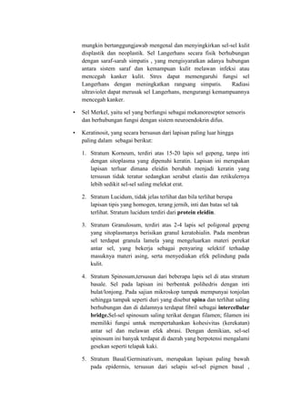 mungkin bertanggungjawab mengenal dan menyingkirkan sel-sel kulit
    displastik dan neoplastik. Sel Langerhans secara fisik berhubungan
    dengan saraf-sarah simpatis , yang mengisyaratkan adanya hubungan
    antara sistem saraf dan kemampuan kulit melawan infeksi atau
    mencegah kanker kulit. Stres dapat memengaruhi fungsi sel
    Langerhans dengan meningkatkan rangsang simpatis.           Radiasi
    ultraviolet dapat merusak sel Langerhans, mengurangi kemampuannya
    mencegah kanker.

•   Sel Merkel, yaitu sel yang berfungsi sebagai mekanoreseptor sensoris
    dan berhubungan fungsi dengan sistem neuroendokrin difus.

•   Keratinosit, yang secara bersusun dari lapisan paling luar hingga
    paling dalam sebagai berikut:

    1. Stratum Korneum, terdiri atas 15-20 lapis sel gepeng, tanpa inti
       dengan sitoplasma yang dipenuhi keratin. Lapisan ini merupakan
       lapisan terluar dimana eleidin berubah menjadi keratin yang
       tersusun tidak teratur sedangkan serabut elastis dan retikulernya
       lebih sedikit sel-sel saling melekat erat.

    2. Stratum Lucidum, tidak jelas terlihat dan bila terlihat berupa
       lapisan tipis yang homogen, terang jernih, inti dan batas sel tak
       terlihat. Stratum lucidum terdiri dari protein eleidin.

    3. Stratum Granulosum, terdiri atas 2-4 lapis sel poligonal gepeng
       yang sitoplasmanya berisikan granul keratohialin. Pada membran
       sel terdapat granula lamela yang mengeluarkan materi perekat
       antar sel, yang bekerja sebagai penyaring selektif terhadap
       masuknya materi asing, serta menyediakan efek pelindung pada
       kulit.

    4. Stratum Spinosum,tersusun dari beberapa lapis sel di atas stratum
       basale. Sel pada lapisan ini berbentuk polihedris dengan inti
       bulat/lonjong. Pada sajian mikroskop tampak mempunyai tonjolan
       sehingga tampak seperti duri yang disebut spina dan terlihat saling
       berhubungan dan di dalamnya terdapat fibril sebagai intercellular
       bridge.Sel-sel spinosum saling terikat dengan filamen; filamen ini
       memiliki fungsi untuk mempertahankan kohesivitas (kerekatan)
       antar sel dan melawan efek abrasi. Dengan demikian, sel-sel
       spinosum ini banyak terdapat di daerah yang berpotensi mengalami
       gesekan seperti telapak kaki.

    5. Stratum Basal/Germinativum, merupakan lapisan paling bawah
       pada epidermis, tersusun dari selapis sel-sel pigmen basal ,
 