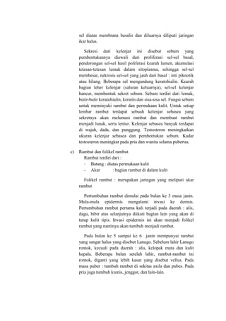 sel diatas membrana basalis dan diluarnya diliputi jaringan
     ikat halus.

        Sekresi dari kelenjar ini disebut sebum yang
     pembentukannya diawali dari proliferasi sel-sel basal,
     pendorongan sel-sel hasil poliferasi kearah lumen, akumulasi
     tetesan-tetesan lemak dalam sitoplasma, sehingga sel-sel
     membesar, nekrosis sel-sel yang jauh dari basal : inti piknotik
     atau hilang. Beberapa sel mengandung keratohialin. Kearah
     bagian leher kelenjar (saluran keluarnya), sel-sel kelenjar
     hancur, membentuk sekret sebum. Sebum terdiri dari lemak,
     butir-butir keratohialin, keratin dan sisa-sisa sel. Fungsi sebum
     untuk meminyaki rambut dan permukaan kulit. Untuk setiap
     lembar rambut terdapat sebuah kelenjar sebasea yang
     sekretnya akan melumasi rambut dan membuat rambut
     menjadi lunak, serta lentur. Kelenjar sebasea banyak terdapat
     di wajah, dada, dan punggung. Testosteron meningkatkan
     ukuran kelenjar sebasea dan pembentukan sebum. Kadar
     testosteron meningkat pada pria dan wanita selama pubertas.

c)   Rambut dan folikel rambut
       Rambut terdiri dari :
       - Batang : diatas permukaan kulit
       - Akar         : bagian rambut di dalam kulit

       Folikel rambut : merupakan jaringan yang meliputi akar
     rambut

        Pertumbuhan rambut dimulai pada bulan ke 3 masa janin.
     Mula-mula epidermis mengalami invasi ke dermis.
     Pertumbuhan rambut pertama kali terjadi pada daerah : alis,
     dagu, bibir atas selanjutnya diikuti bagian lain yang akan di
     tutup kulit tipis. Invasi epidermis ini akan menjadi folikel
     rambut yang nantinya akan tumbuh menjadi rambut.

        Pada bulan ke 5 sampai ke 6 janin mempunyai rambut
     yang sangat halus yang disebut Lanugo. Sebelum lahir Lanugo
     rontok, kecuali pada daerah : alis, kelopak mata dan kulit
     kepala. Beberapa bulan setelah lahir, rambut-rambut ini
     rontok, diganti yang lebih kasar yang disebut vellus. Pada
     masa puber : tumbuh rambut di sekitas axila dan pubes. Pada
     pria juga tumbuh kumis, jenggot, dan lain-lain.
 