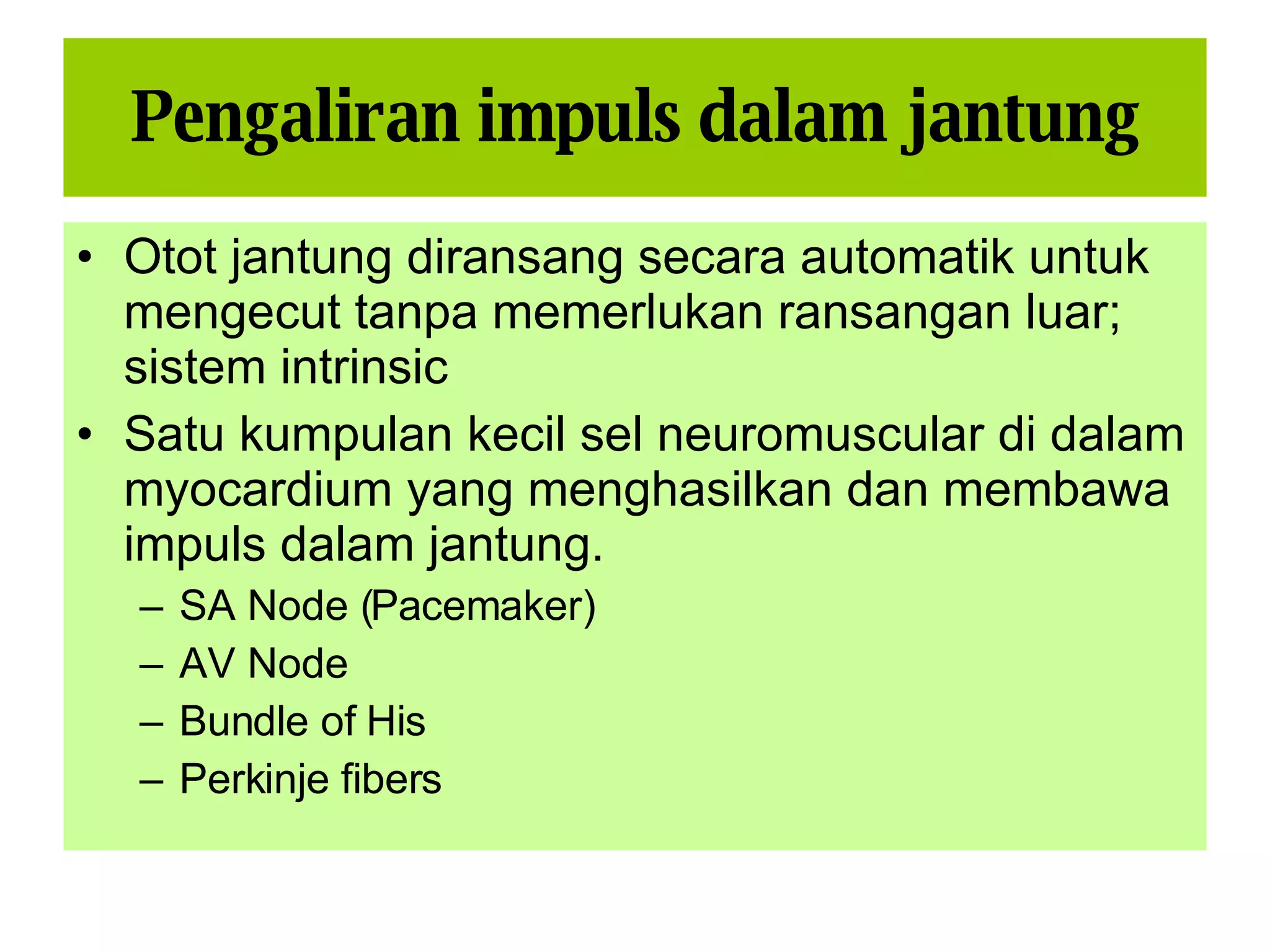 Sistem Kardiovaskular 1