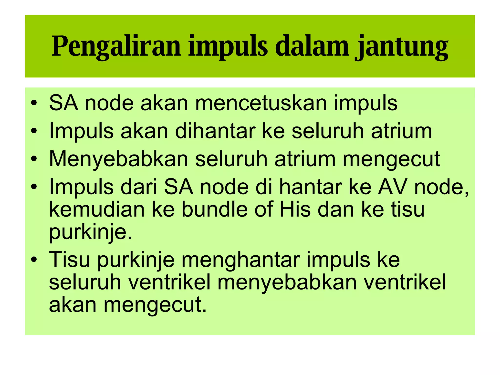 Sistem Kardiovaskular 1