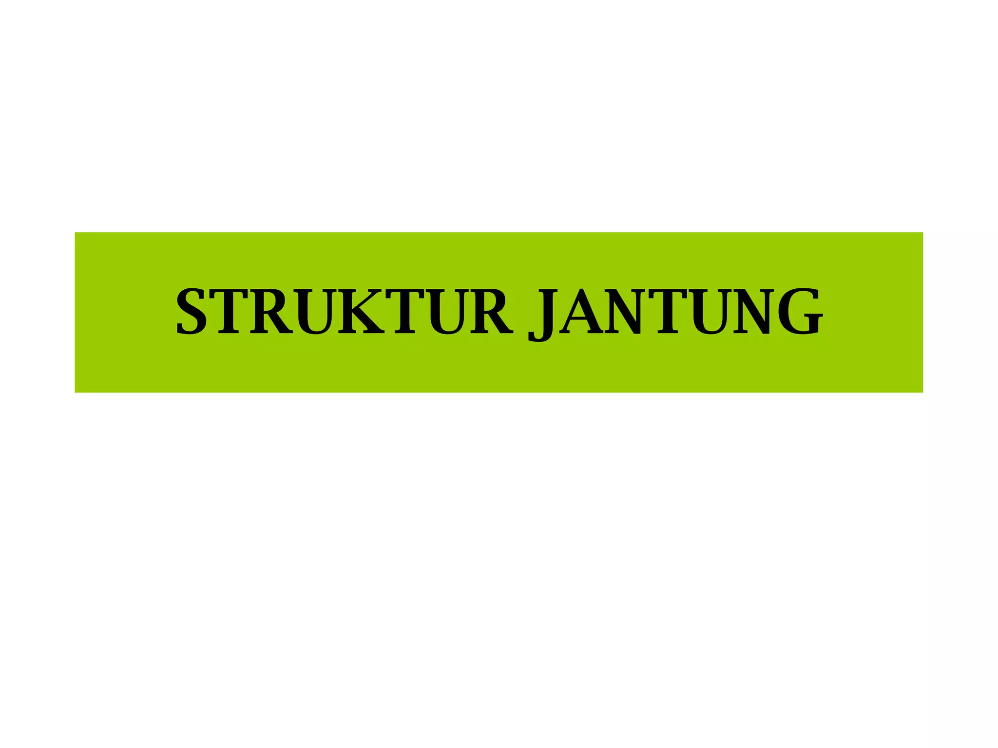 Sistem Kardiovaskular 1