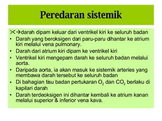 Sistem Kardiovaskular 1