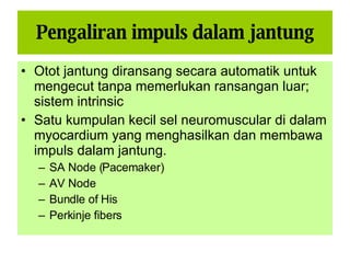 Sistem Kardiovaskular 1