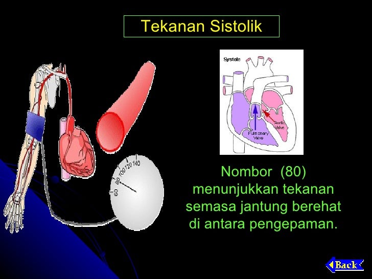 Sistem kardiovaskular-1203535097703994-4
