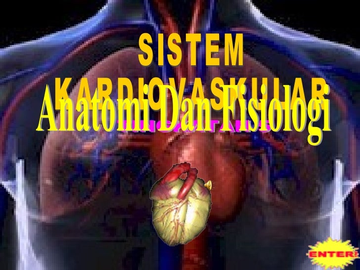 Sistem Kardiovaskular