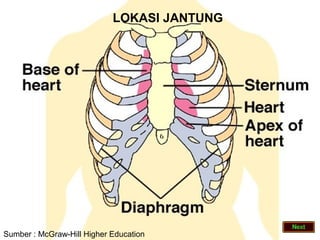 LOKASI JANTUNG




Sumber : McGraw-Hill Higher Education
 
