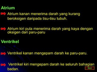Atrium
   Atrium kanan menerima darah yang kurang
   beroksigen daripada tisu-tisu tubuh.

   Atrium kiri pula menerima darah yang kaya dengan
   oksigen dari paru-paru

Ventrikel

   Ventrikel kanan mengepam darah ke paru-paru.

   Ventrikel kiri mengepam darah ke seluruh bahagian
   badan.
 