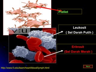Platlet



                                                            Leukosit
                                                      ( Sel Darah Putih )



                                                          Eritrosit
                                                     (Sel Darah Merah )



http://www.fi.edu/learn/heart/blood/lymph.html
 