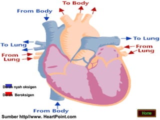 Darah nyah oksigen

Darah Beroksigen




Sumber http//www. HeartPoint.com
 