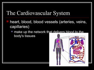 The Cardiovascular System
   heart, blood, blood vessels (arteries, veins,
    capillaries)
       make up the network that delivers blood to the
        body's tissues
 
