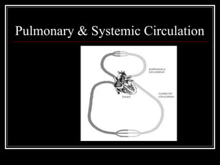 Pulmonary & Systemic Circulation
 