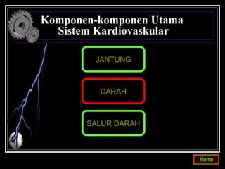 Komponen-komponen Utama
  Sistem Kardiovaskular

        JANTUNG



         DARAH



       SALUR DARAH
 