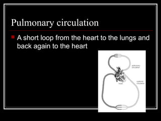 Pulmonary circulation
   A short loop from the heart to the lungs and
    back again to the heart
 