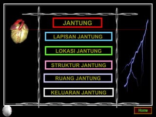 JANTUNG

LAPISAN JANTUNG

 LOKASI JANTUNG

STRUKTUR JANTUNG

 RUANG JANTUNG

KELUARAN JANTUNG
 