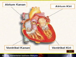 Sumber : Kementerian kesihatan Malaysia
 