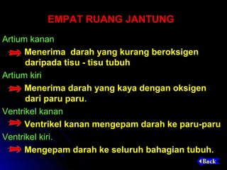 EMPAT RUANG JANTUNG
Artium kanan
      Menerima darah yang kurang beroksigen
      daripada tisu - tisu tubuh
Artium kiri
      Menerima darah yang kaya dengan oksigen
      dari paru paru.
Ventrikel kanan
      Ventrikel kanan mengepam darah ke paru-paru
Ventrikel kiri.
      Mengepam darah ke seluruh bahagian tubuh.
 