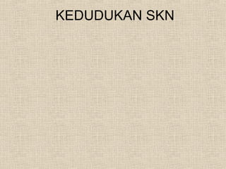 KEDUDUKAN SKN
 