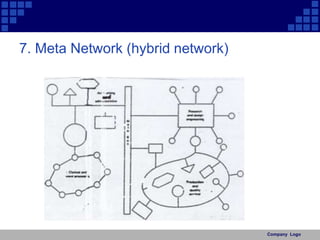 Company Logo 
7. Meta Network (hybrid network) 
 