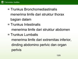 13/9
= Trunkus Bronchomediastinalis
menerima limfe dari struktur thorax
bagian dalam
= Trunkus Intestinalis
menerima limfe dari struktur abdomen
= Trunkus Lumbalis
menerima limfe dari extremitas inferior,
dinding abdomino perlvic dan organ
perlvis
 