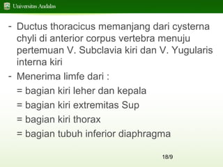 18/9
- Ductus thoracicus memanjang dari cysterna
chyli di anterior corpus vertebra menuju
pertemuan V. Subclavia kiri dan V. Yugularis
interna kiri
- Menerima limfe dari :
= bagian kiri leher dan kepala
= bagian kiri extremitas Sup
= bagian kiri thorax
= bagian tubuh inferior diaphragma
 