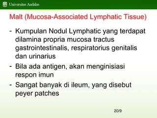 20/9
Malt (Mucosa-Associated Lymphatic Tissue)
- Kumpulan Nodul Lymphatic yang terdapat
dilamina propria mucosa tractus
gastrointestinalis, respiratorius genitalis
dan urinarius
- Bila ada antigen, akan menginisiasi
respon imun
- Sangat banyak di ileum, yang disebut
peyer patches
 