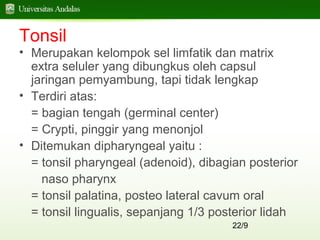 22/9
Tonsil
• Merupakan kelompok sel limfatik dan matrix
extra seluler yang dibungkus oleh capsul
jaringan pemyambung, tapi tidak lengkap
• Terdiri atas:
= bagian tengah (germinal center)
= Crypti, pinggir yang menonjol
• Ditemukan dipharyngeal yaitu :
= tonsil pharyngeal (adenoid), dibagian posterior
naso pharynx
= tonsil palatina, posteo lateral cavum oral
= tonsil lingualis, sepanjang 1/3 posterior lidah
 