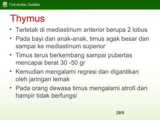 28/9
Thymus
• Terletak di mediastinum anterior berupa 2 lobus
• Pada bayi dan anak-anak, timus agak besar dan
sampai ke mediastinum superior
• Timus terus berkembang sampai pubertas
mencapai berat 30 -50 gr
• Kemudian mengalami regresi dan digantikan
oleh jaringan lemak
• Pada orang dewasa timus mengalami atrofi dan
hampir tidak berfungsi
 
