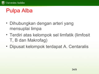 34/9
Pulpa Alba
• Dihubungkan dengan arteri yang
mensuplai limpa
• Terdiri atas kelompok sel limfatik (limfosit
T, B dan Makrofag)
• Dipusat kelompok terdapat A. Centaralis
 