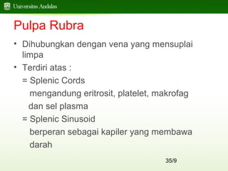 35/9
Pulpa Rubra
• Dihubungkan dengan vena yang mensuplai
limpa
• Terdiri atas :
= Splenic Cords
mengandung eritrosit, platelet, makrofag
dan sel plasma
= Splenic Sinusoid
berperan sebagai kapiler yang membawa
darah
 