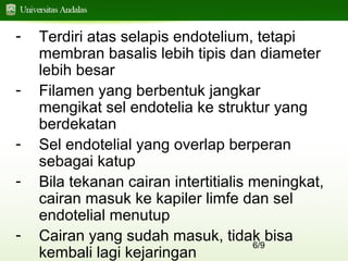 6/9
- Terdiri atas selapis endotelium, tetapi
membran basalis lebih tipis dan diameter
lebih besar
- Filamen yang berbentuk jangkar
mengikat sel endotelia ke struktur yang
berdekatan
- Sel endotelial yang overlap berperan
sebagai katup
- Bila tekanan cairan intertitialis meningkat,
cairan masuk ke kapiler limfe dan sel
endotelial menutup
- Cairan yang sudah masuk, tidak bisa
kembali lagi kejaringan
 