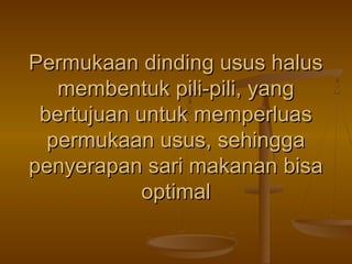 Permukaan dinding usus halus
membentuk pili-pili, yang
bertujuan untuk memperluas
permukaan usus, sehingga
penyerapan sari makanan bisa
optimal

 