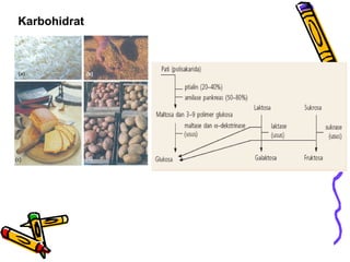 Karbohidrat

Bahan makanan yang
mengandung karbohidrat: (a)
beras, (b) gandum, (c) roti, dan
(d) kentang.

Skema proses pencernaan karbohidrat.

 
