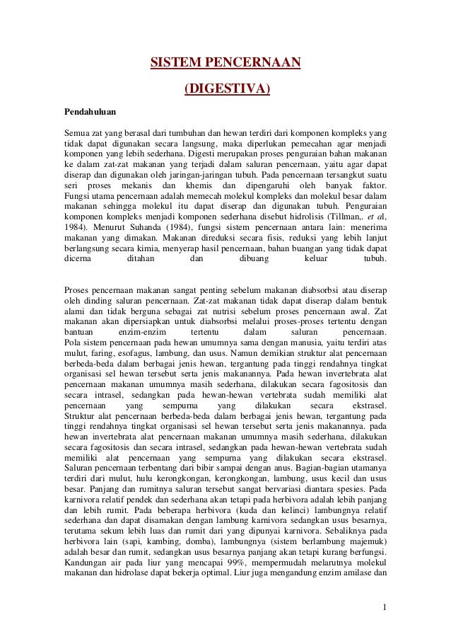 Sistem Pencernaan Hewan
